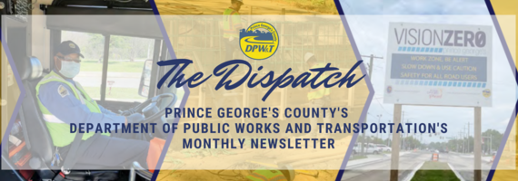 DPWTDispatchNewsletterHeaderLogo