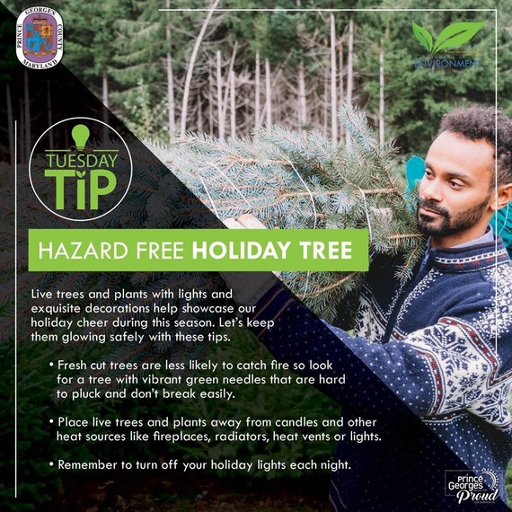 Holiday Tree - English