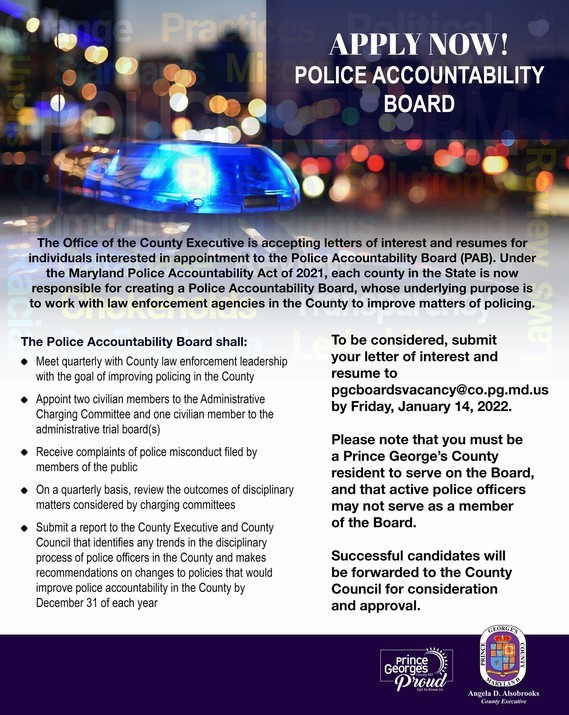 Police Accountability Report
