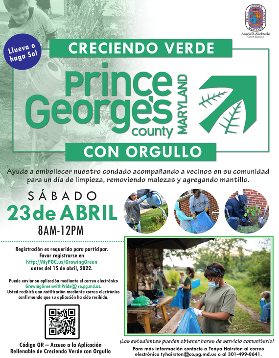 Clean Up Day - Spanish 