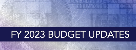 Budget Update Banner