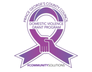 Domestic Violence