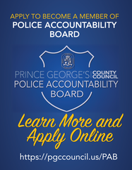 POLICE ACCOUNTABILITY