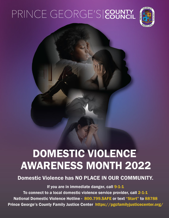 domestic.violence.2022