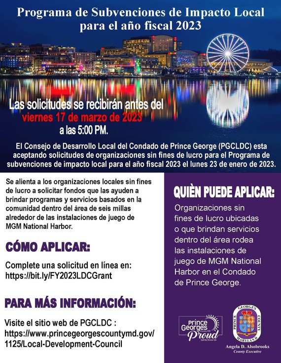 Application Grant Spanish