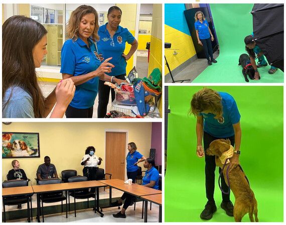 Jolene.AnimalShelter