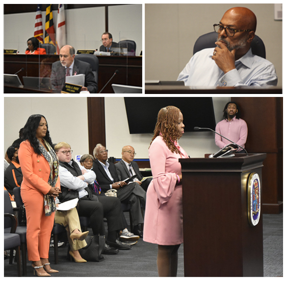 county council collage