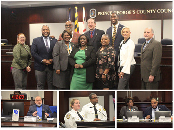 mental health town hall