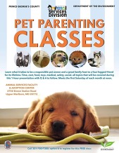 Fisher_Flyer_PetParenting