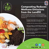 Fisher_Flyer_CompostEng