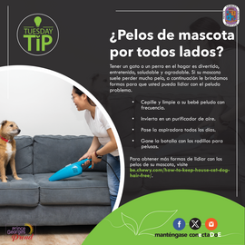 Tuesday Tip: Pet Fur Everywhere [ESP]