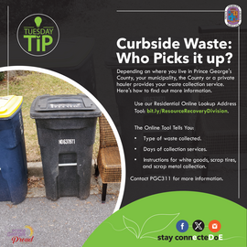Curbside Waste: Who Picks It Up?