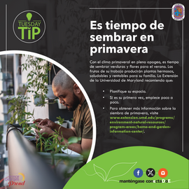 Spring Planting [ESP]