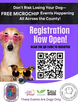 Microchip 1