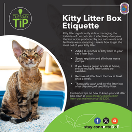 Fisher-0825_Flyer_Tip-Eng