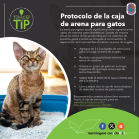 Fisher-0825_Flyer_Tip-Esp