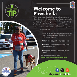 Pawchella [ENG]