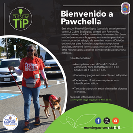 Pawchella [ESP]