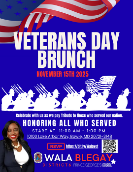 VETS FLYER