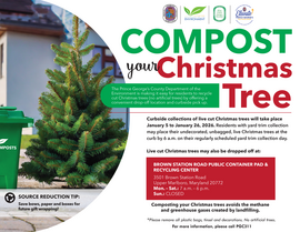 Christmas Tree Pick Up_ENG