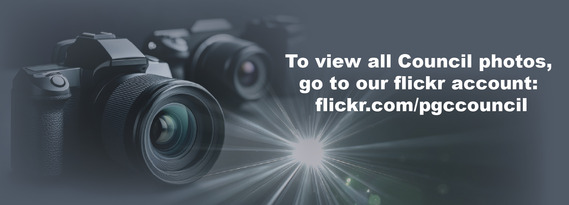 flickrbanner