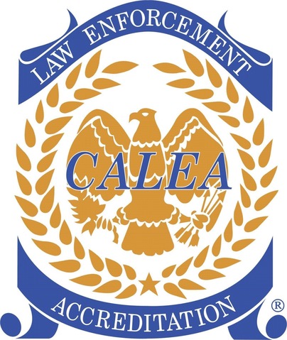 Calea