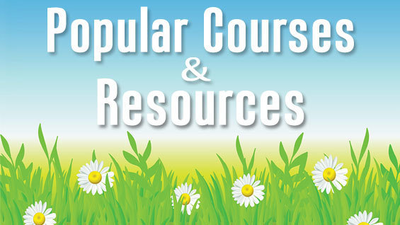 Popular Courses and Resources