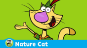 Image Nature Cat