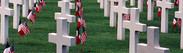Image graves Memorial Day