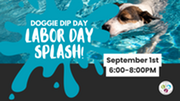 doggiedipday
