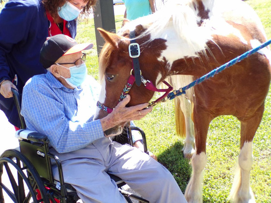 Charlotte Hall Veterans Home pony visit