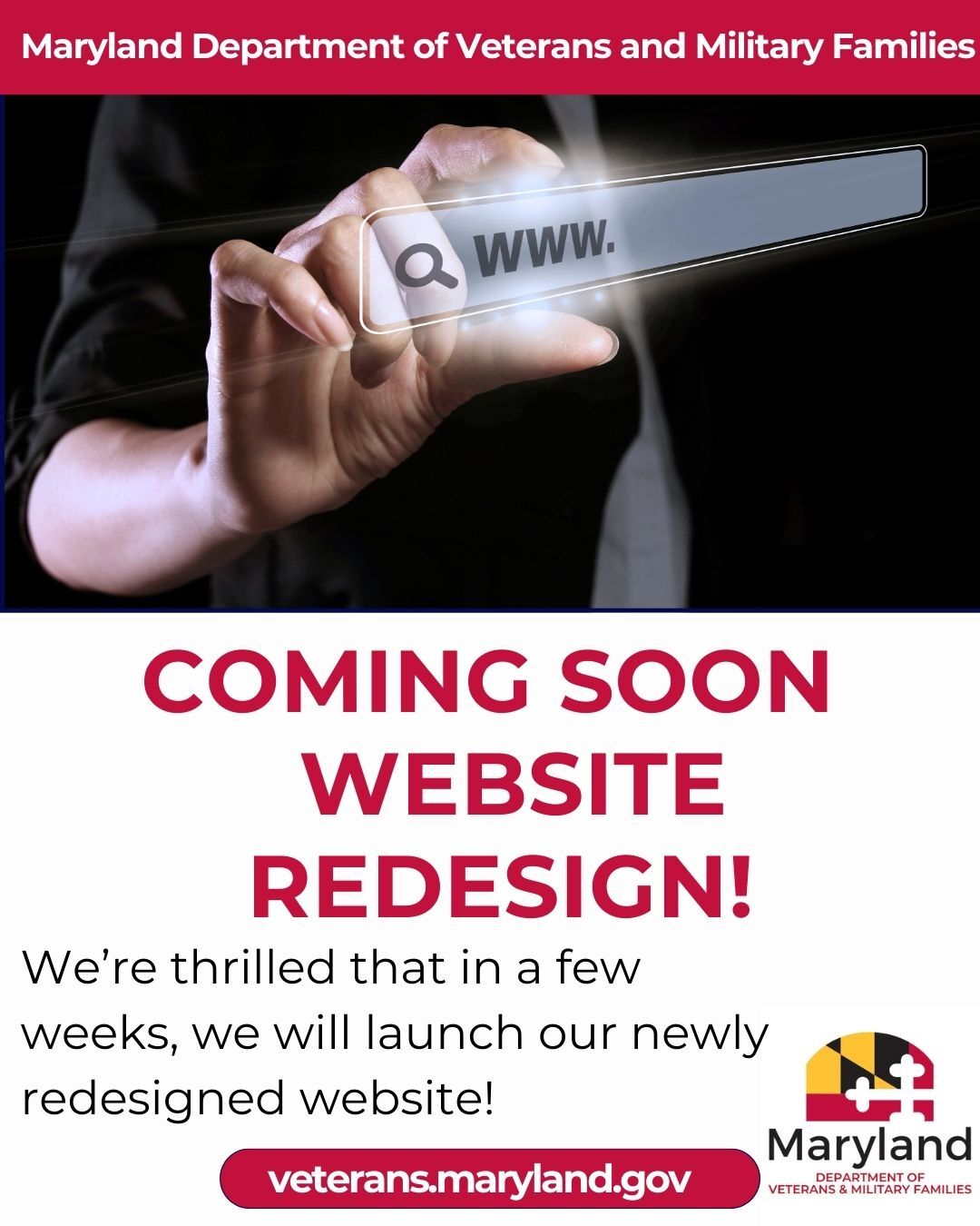 DVMF website graphic