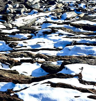 snow on rocks