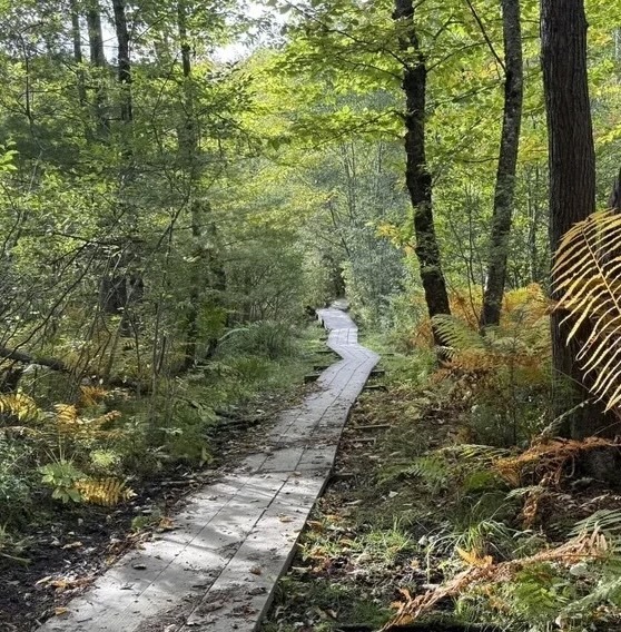 trails for greenbelt
