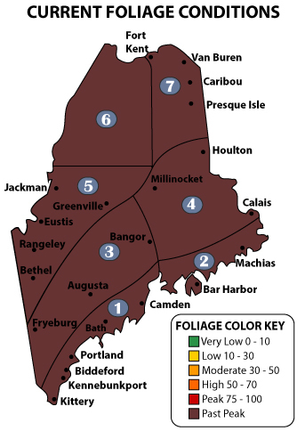 Fall Foliage Conditions Map
