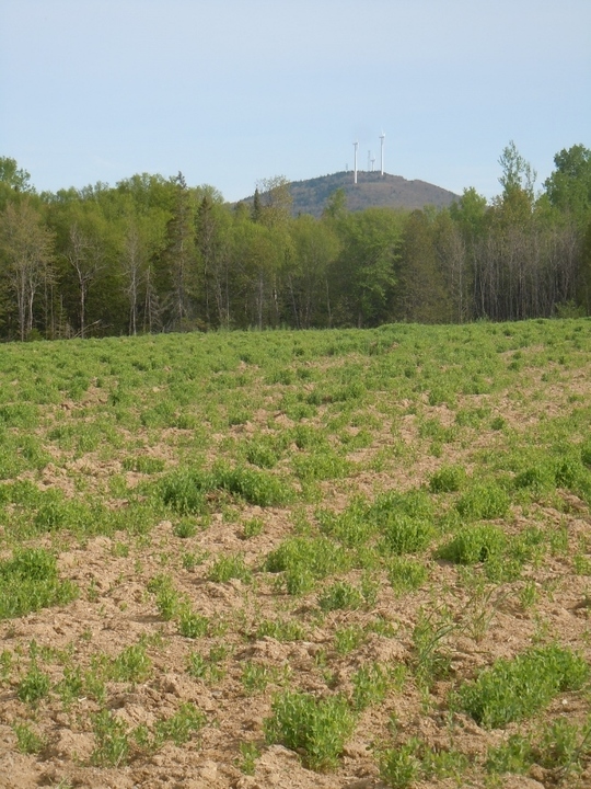 Soil Health Innovations