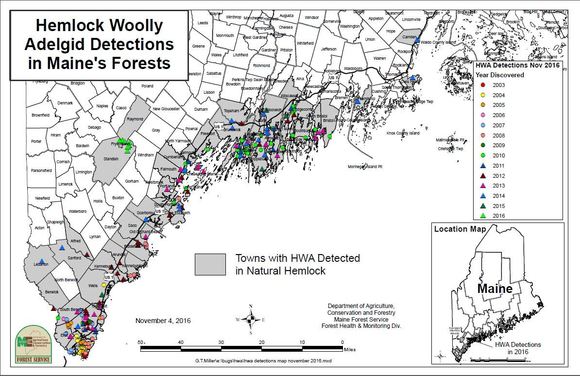 hemlock woolly adelgid detections in Maine's Forests