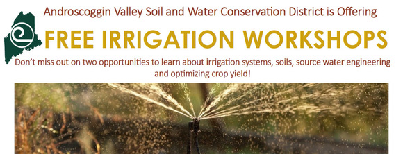 Irrigation Workshop