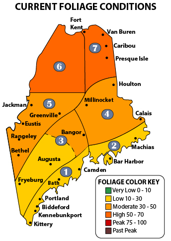 Fall Foliage Conditions Map
