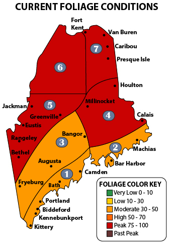 Fall Foliage Conditions Map