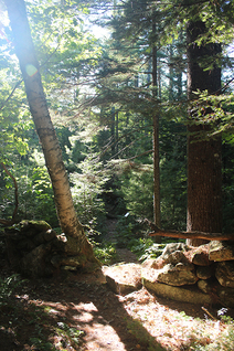 Trees and path going through a stonewall