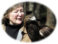 Hope and Golden Eagle from Wind Over Wings.