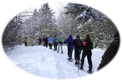 Snowshoers single file on path through woods.