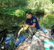 Environmental Steward testing water quality