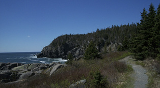 Trail along headland at Quoddy Head State Park, Lubec.