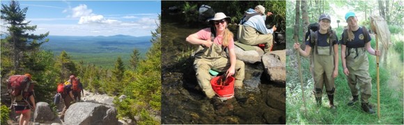 Three photos: 1 Field Team and 2 Environmental Stewards on sites for Maine Conservation Corps