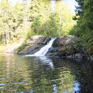 Small waterfall on Cold Stream at the Cold Stream Forest Unit