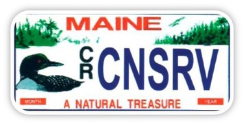 Loon license plate supporting conservation in Maine.