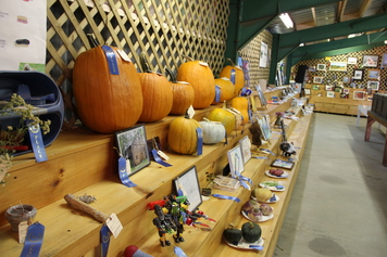 New Portland Lions Fair