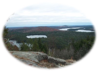 View from Tunk Mt. across evergreen forest and lakes.